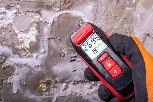 Best Home Mold Removal  in Foresthill, CA