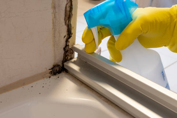 Best Mold Removal Near Me  in Foresthill, CA