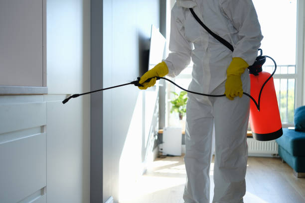 Crawl Space Mold Removal in Foresthill, CA