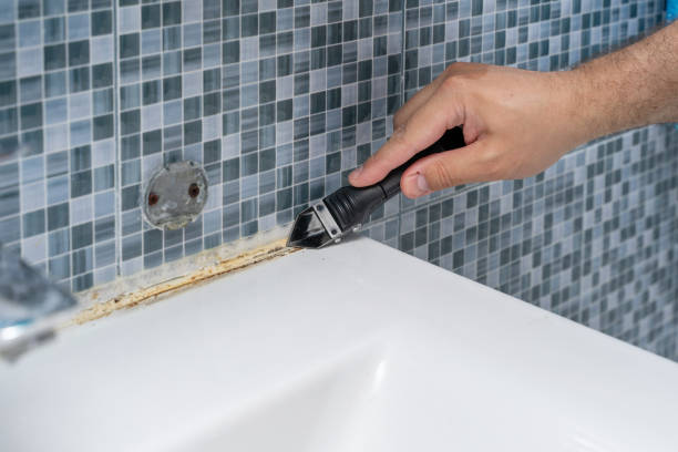 Best Commercial Mold Removal  in Foresthill, CA