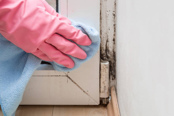 Best Crawl Space Mold Removal  in Foresthill, CA